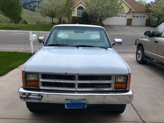 Illustration for article titled Found on Montana Craigslist: Utes on Utes Edition